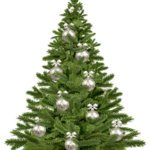 christmas tree, twigs, christmas-1853582.jpg